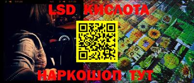 круглые Бердск