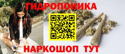 круглые Бердск