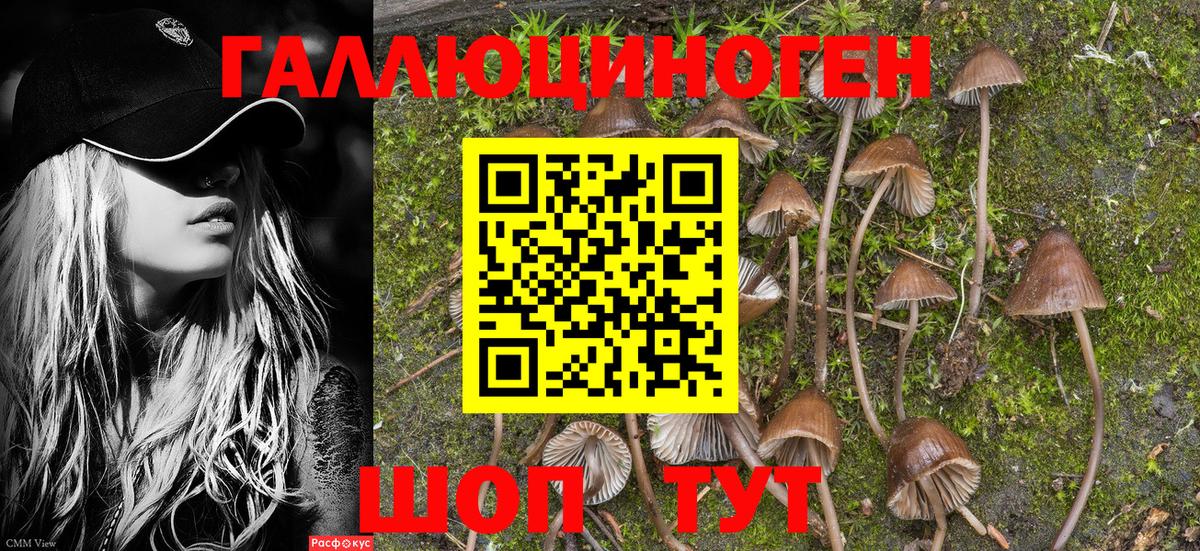 Галлюциногенные грибы Psilocybine cubensis  Вход с VPN  Лиски  Галлюциногенные грибы Magic Shrooms 